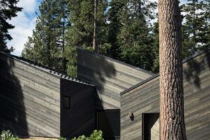 Jednotlivé části domu se stupňovitě rozkládají po svahu a zachovávají původní stromy i terén.