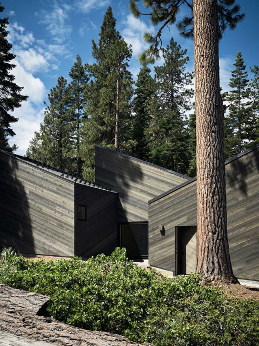 Jednotlivé části domu se stupňovitě rozkládají po svahu a zachovávají původní stromy i terén.