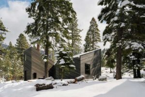 Tmavě obložená chata stojí mezi vysokými borovicemi a respektuje přirozený ráz krajiny.