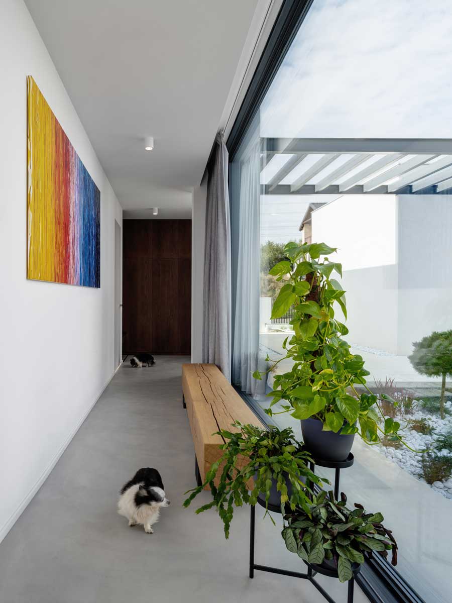 Světlá chodba s velkoformátovým prosklením, dřevěnou lavicí a pokojovými rostlinami.