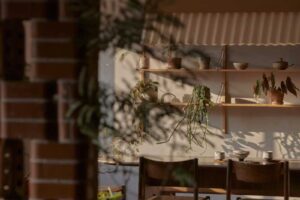 Sluneční světlo dopadající na police s rostlinami a keramickými doplňky posiluje pocit klidného domácího parku.