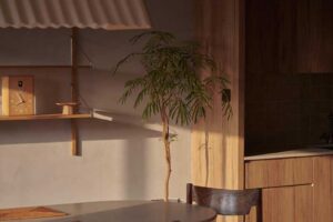 Detail jídelního koutu ukazuje hru přirozeného světla, dřeva a pokojových rostlin, které vytvářejí klidnou atmosféru.