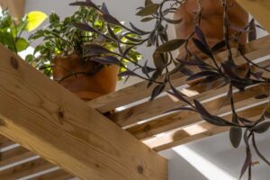 Pokojové rostliny umístěné na dřevěné polici mezi trámy v podkroví nízkoenergetické dřevostavby