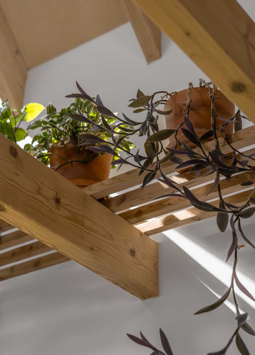 Pokojové rostliny umístěné na dřevěné polici mezi trámy v podkroví nízkoenergetické dřevostavby