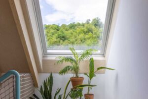 Pokojové rostliny pod střešním oknem VELUX v podkroví nízkoenergetické dřevostavby