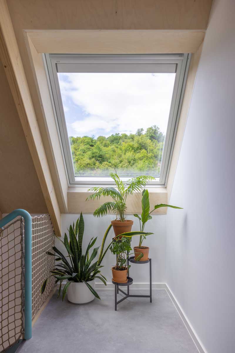Pokojové rostliny pod střešním oknem VELUX v podkroví nízkoenergetické dřevostavby