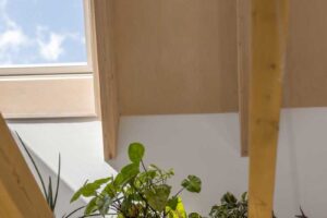 Dřevěná police mezi trámy v podkroví dřevostavby s pokojovými rostlinami a přiznanou konstrukcí