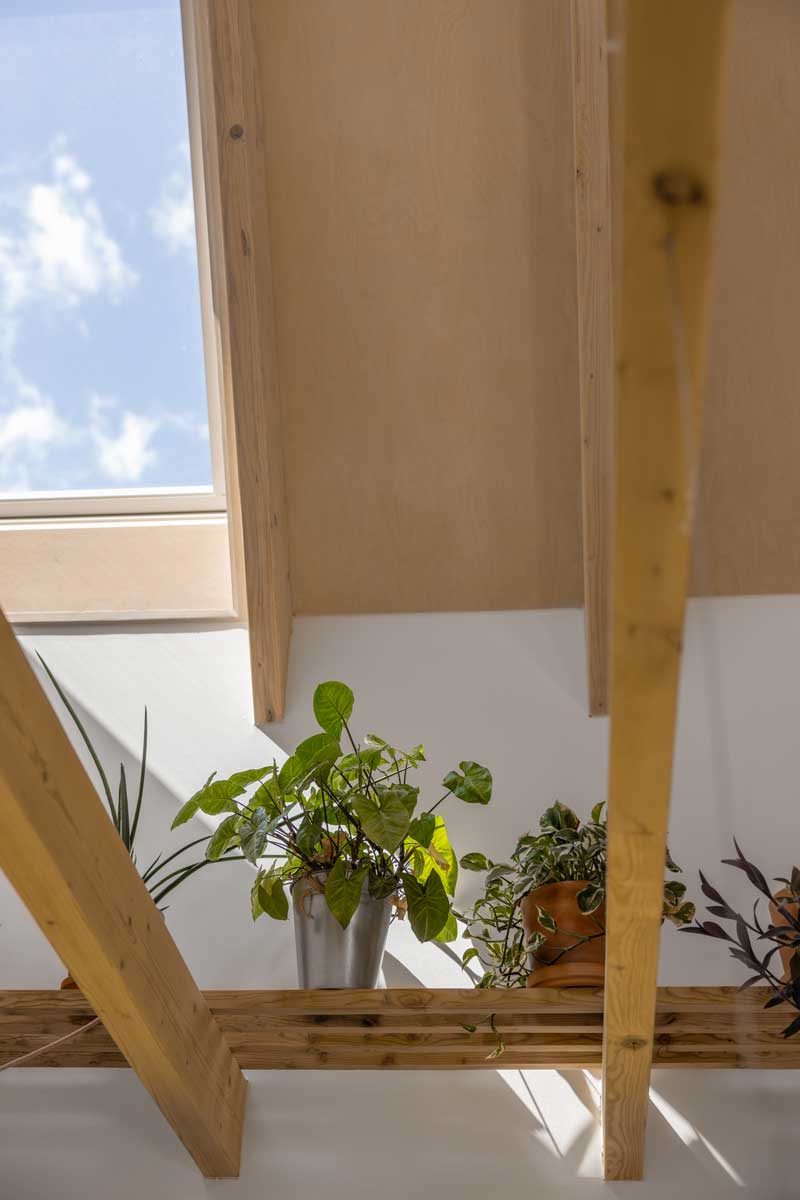 Dřevěná police mezi trámy v podkroví dřevostavby s pokojovými rostlinami a přiznanou konstrukcí