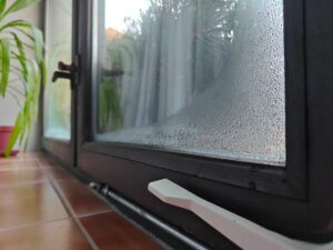 Zamlžená skla a kapky vody. Proč zimní zahrada v zimě trpí vlhkostí