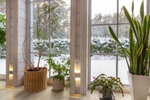 Zimní zahrada plná rostlin s výhledem na zasněženou zahradu, kde vyšší vlhkost vzniká přirozeným odparem zálivky a substrátu.