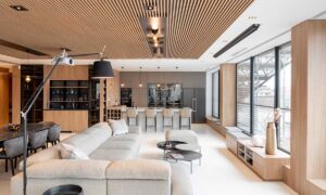 Profesionálním propojením dvou prostorů vzniklo prémiové a elegantní bydlení