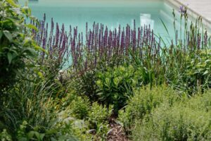 Zahrada s přírodními výsadbami kolem bazénu, které podporují biodiverzitu a přirozený vzhled