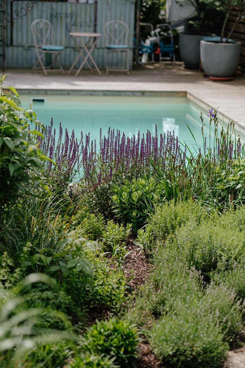 Zahrada s přírodními výsadbami kolem bazénu, které podporují biodiverzitu a přirozený vzhled