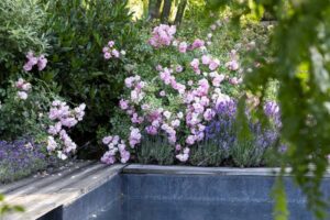 Zahrada s kvetoucími keři a přírodním jezírkem jako klidné místo pro zpomalení a odpočinek