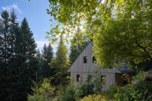 Dřevěná chalupa v lese během léta s prosvětleným okolím