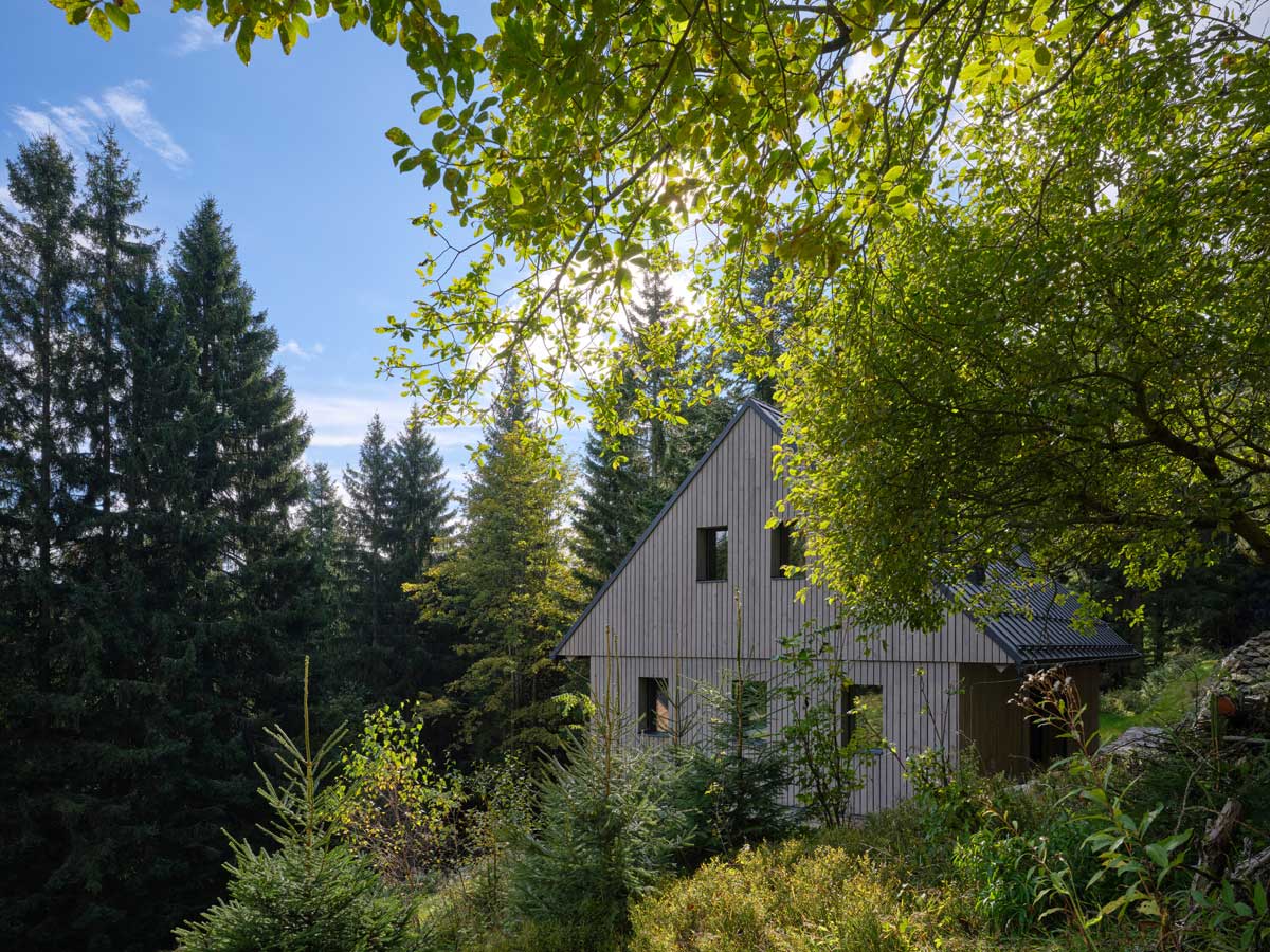 Dřevěná chalupa v lese během léta s prosvětleným okolím