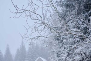 Chalupa v horském prostředí obklopená lesem a mlhou