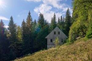 Chalupa v létě obklopená zelení a slunečním světlem