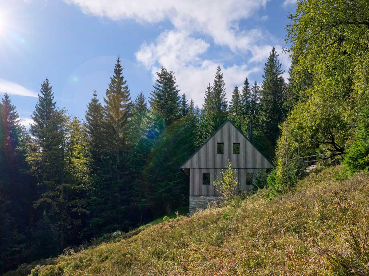 Chalupa v létě obklopená zelení a slunečním světlem