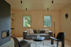 Světlý obývací prostor s dřevěným obkladem pohovkou a krbem