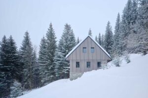 Tradičně tvarovaná chalupa v zimní krajině obklopená zasněženými stromy