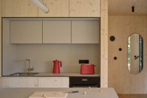 Minimalistická kuchyňská linka s vestavěnými spotřebiči a dřevěným obkladem