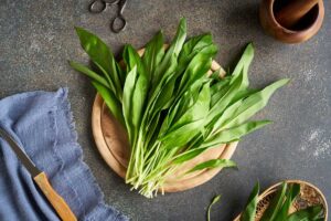 Čerstvé listy medvědího česneku připravené na jarní polévku nebo dochucení jídel.