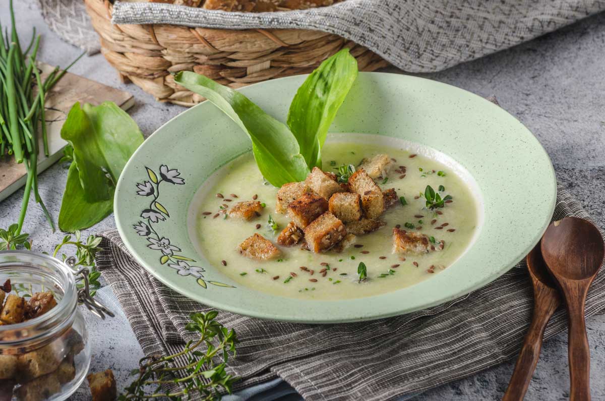 Krémová polévka z medvědího česneku s krutony a bylinkami jako jarní posilující jídlo.