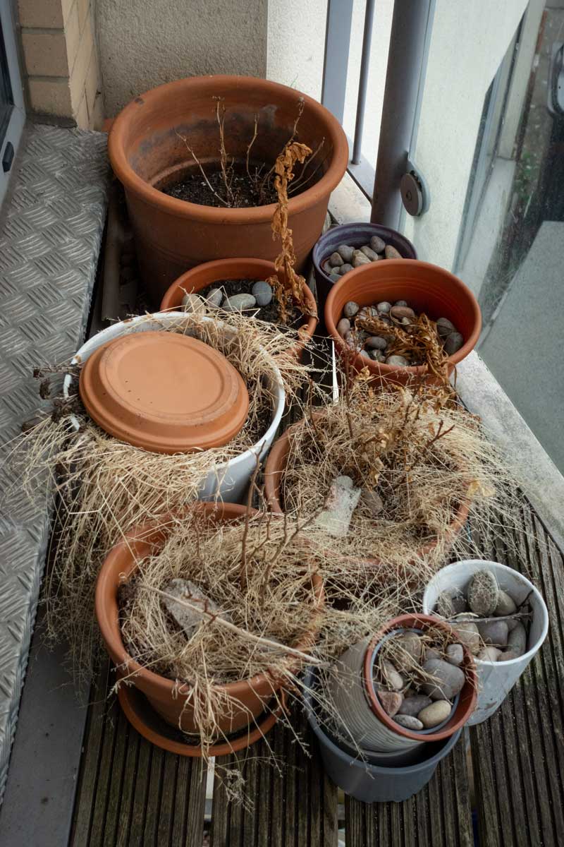 Prázdné květináče a suché rostliny které působí neudržovaně