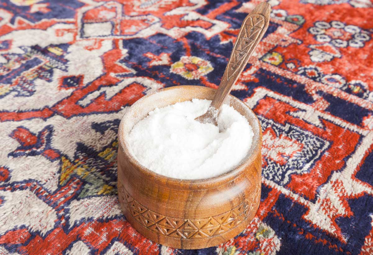 Obyčejná kuchyňská sůl nasypaná do koberce může pomoci vysušit larvy blech a omezit jejich množení.