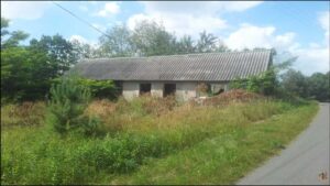 Všichni jim říkali ať to zbourají. Po čtyřech letech z ruiny vznikl nádherný dům u lesa