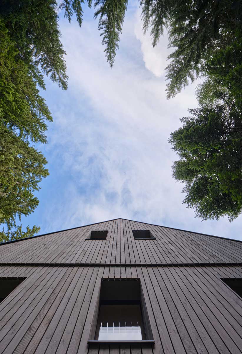 Pohled na dřevěný štít chalupy zespodu mezi korunami stromů