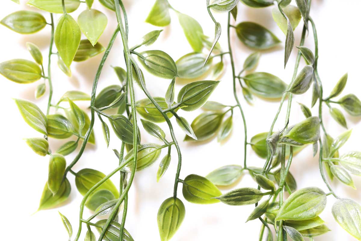 Detail umělých převislých rostlin ukazuje jak snadno může nepřirozený materiál narušit celkový dojem interiéru