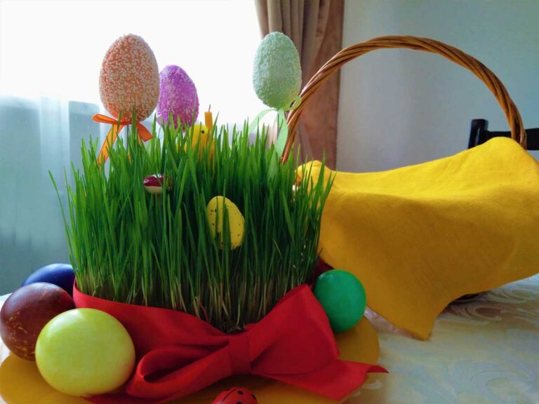 Velikonoční osení z pšenice nebo ječmene jako jarní dekorace na sváteční stůl