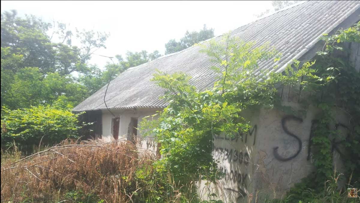 Zarostlá a opuštěná stodola obklopená náletovou zelení před rekonstrukcí