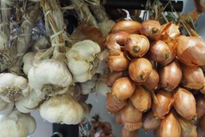 Svazky cibule a česneku jako základní suroviny, které je dobré mít vždy po ruce pro rychlé vaření.