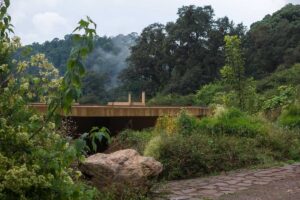 Nízký kruhový dům částečně zapuštěný do terénu obklopený divokou vegetací.