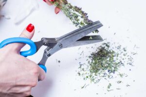 Stříhání čerstvých bylinek nůžkami jako rychlý trik pro efektivní přípravu surovin při vaření.