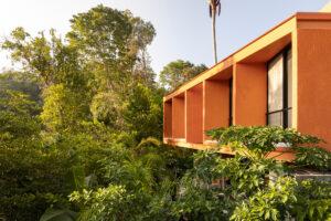 Horní podlaží domu vystupuje nad tropickou vegetaci a vytváří chráněné balkony s výhledem do pralesa.