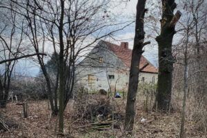 Pohled na původní stav domu ukazuje, jak moc stavba splývala s náletovou vegetací a neudržovaným pozemkem.