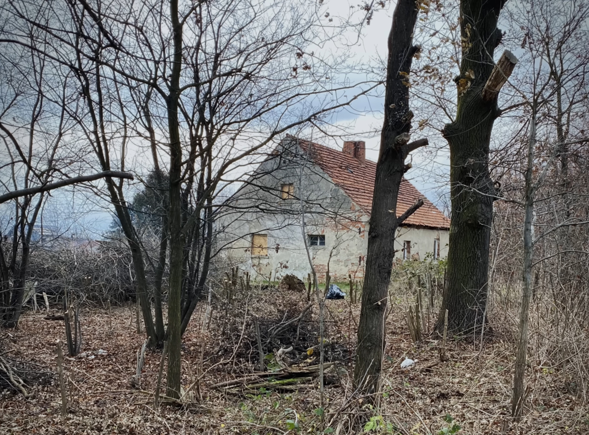 Pohled na původní stav domu ukazuje, jak moc stavba splývala s náletovou vegetací a neudržovaným pozemkem.