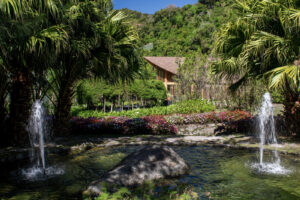 Okrasné jezírko s fontánami dotváří zahradu domu a přirozeně propojuje architekturu s okolní tropickou krajinou.