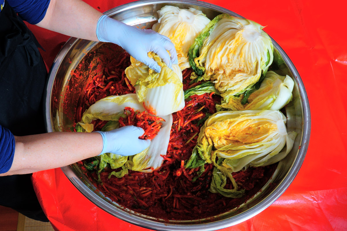 Nasolené čínské zelí se při tradiční přípravě kimchi plní směsí zeleniny a koření.