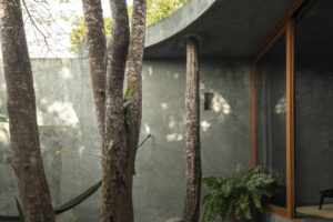 Soukromé atrium se vzrostlými stromy a původní vegetací obklopené betonovými stěnami Casa Gruta.