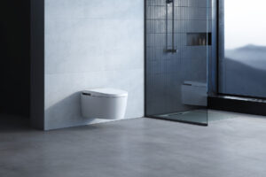 LAUFEN Cleanet ALVIA