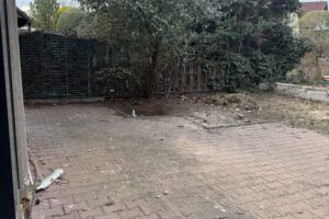 IMG_0655