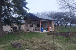 IMG_20260326_172218_211