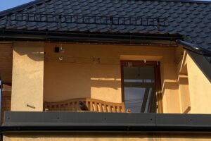 IMG_5950